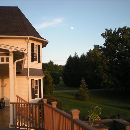 Bed and Breakfast The Fox And The Grapes Lodi Экстерьер фото